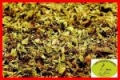 STEVIA ( STEWIA ) LIŚĆ  25 g - NATURALNY SŁODZIK