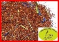 ROOIBOS KALAHARI - POMARAŃCZOWY - 50 g