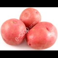 Ziemniaki czerwone sałatkowe
