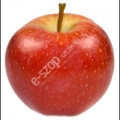 Jabłka Koksa pomarańczowa