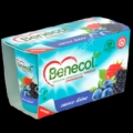 Benecol Deser jogurtowy owoce leśne